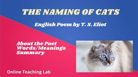 Poem The Naming Of Cats By T S Eliot Summary Words Meanings