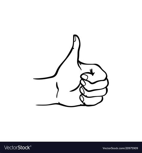 Human Hand Showing Thumbs Up Gesture In Sketch Vector Image