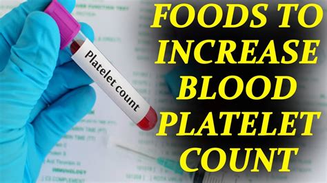Top 44 foods to increase platelets count. 8 Foods to increase the Blood platelet count; Check out ...