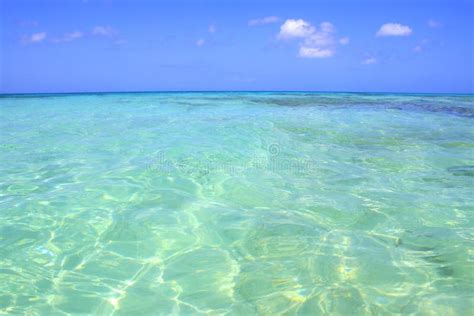 Secluded Turquoise Beach In Aruba Caribbean Blue Sea Duth Antilles