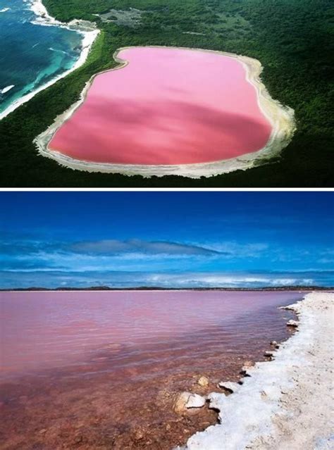 Jezioro Hillier With Images Amazing Places On Earth Lake Hillier