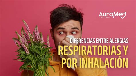 Alergia Respiratoria Y Por Inhalación Diferencias Auramed