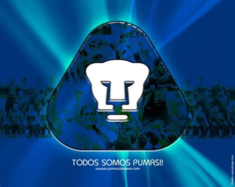 Top 48 Imagen Fondos De Pantalla Pumas Unam Vn