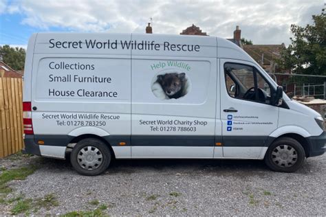 Volunteer Secret World Wildlife Rescue