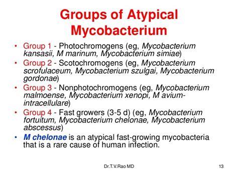 Other Mycobacteria Bacterial Infections
