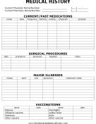 The appointments logs will the forms are intended for filling out on the computer, then printing out and checking each item off as the actual layout of the printable including pattern, pattern color, font style, existing text etc. Medical Records | Medical binder printables, Medical binder, Medical history