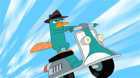 Why We Love Perry The Platypus Perry The Platypus Phineas Ferb