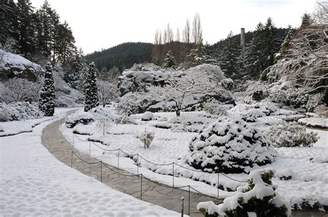 Sunken Gardens After A Snowfall Butchartgardens Gardens