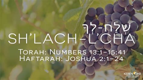 Shabbat Service June 9th 2018 Shlach Lcha 5778 Youtube