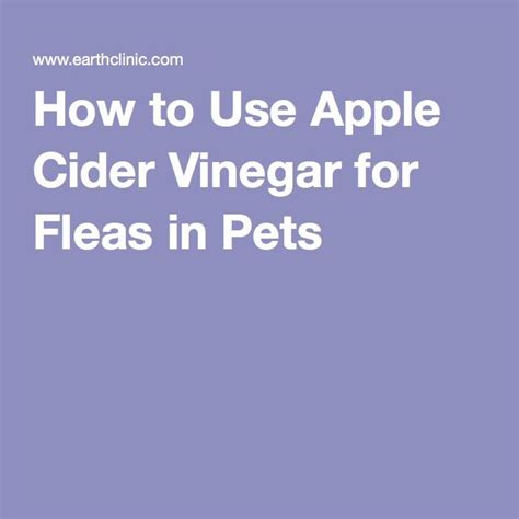 The Text How To Use Apple Cider Vinegar For Fleas In Pets On A Purple
