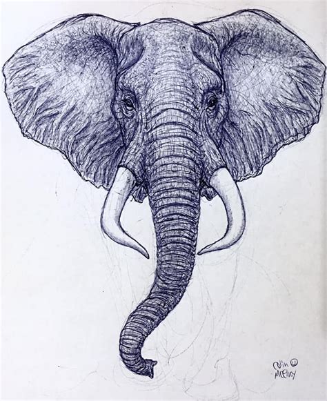 Draw an inverted s shape as we are drawing an elephant with the trunk on the left of the paper. African Elephant Face by MickeyRayRex on DeviantArt