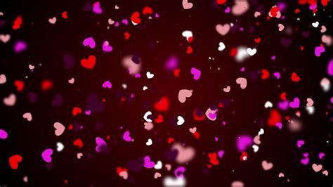 The Heart Shapes Particles Backgrounds Loop Motion Graphics Featuring