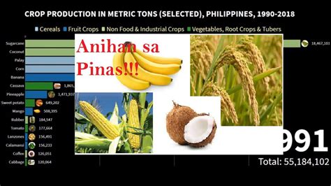 What Are The Top 15 Crops Production In Philippines 1990~2018 Youtube