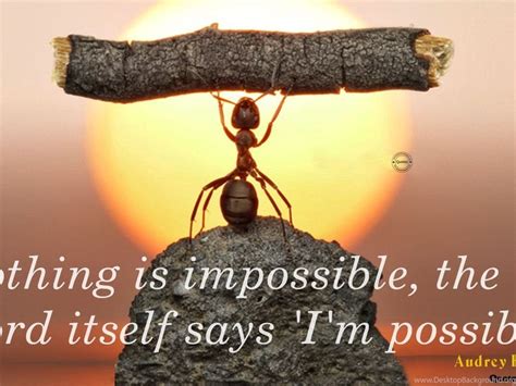 Nature is a beautiful background for inspirational quote images. Positive Inspirational Quotes HD Wallpapers Desktop Wallpapers ... Desktop Background