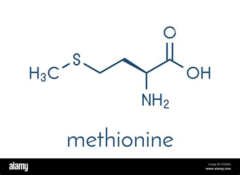 Amino Acid Methionine Cut Out Stock Images And Pictures Alamy