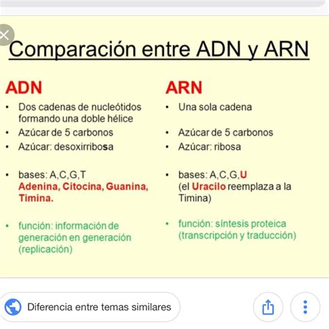 Diferencias Entre Adn Y Arn Cuadro Comparativo Kulturaupice