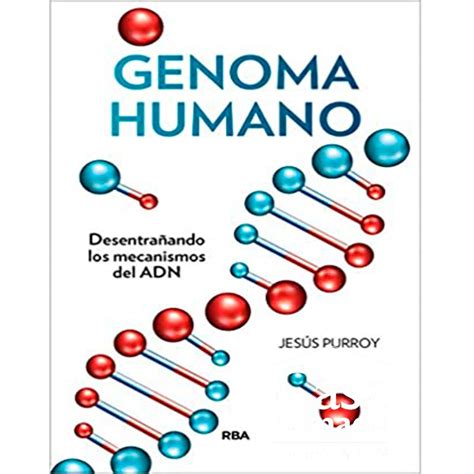 Top 143 Imagenes De Genoma Humano Destinomexicomx