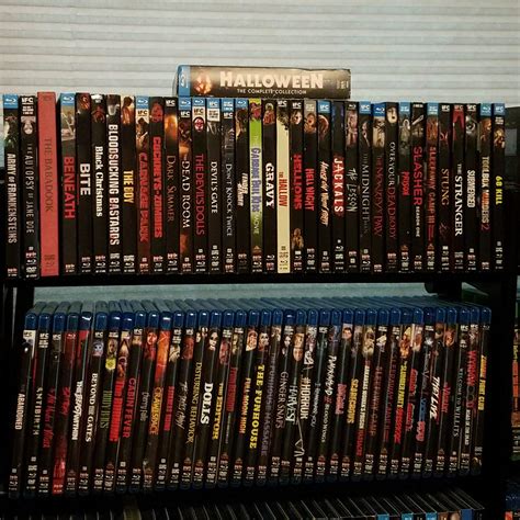 Scream Factory Collection Horror Amino