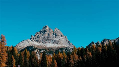 Download Wallpaper 2560x1440 Mountain Peak Trees Autumn Sky