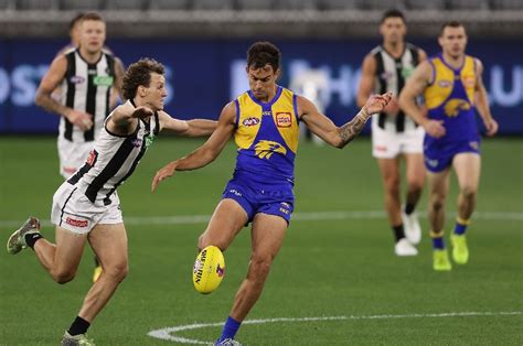 Collingwood Vs West Coast Afl Round West Coast V Collingwood The Eagles And Magpies