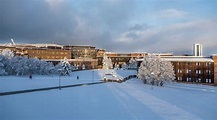 Historie, UiT Norges arktiske universitet | Historiefaget ved UiT ...