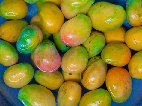 How To Check If Mango Is Ripened Naturally Or Artificially With Harmful