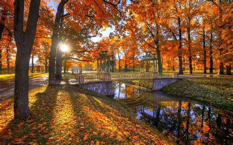 Wallpaper Park Trees Red Leaves Autumn Bridge Sun Rays River