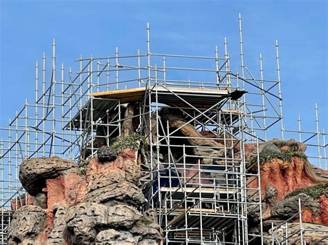 Photos Most Of Splash Mountain Tree Now Gone For Tianas Bayou