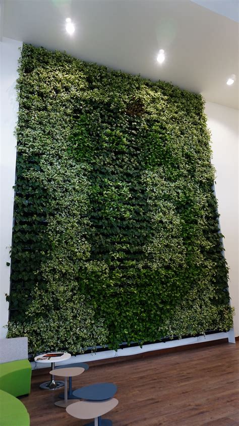 Huge Greenwall Live Plants Covering An Entire Wall 7 Metres Tall