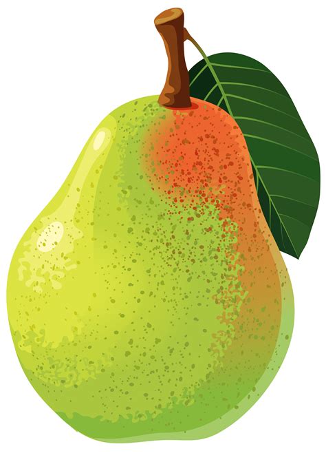 Pear clipart - Clipground