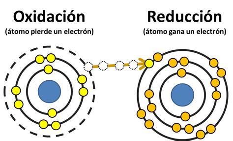 ¿que Es Un Pro Oxidante