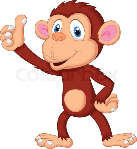 Cute Monkey Cartoon Giving Thumb Up Stock Vector Colourbox
