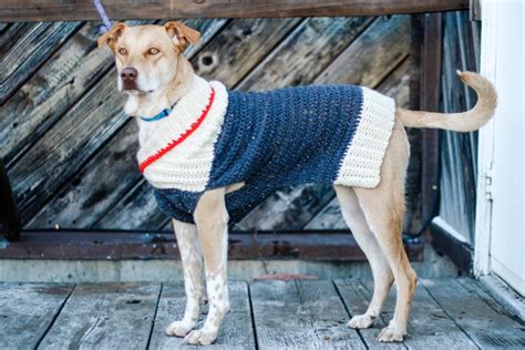 Easy Crochet Dog Sweater Free Pattern Tutorial In Nine