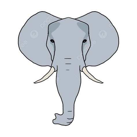 Elephant Head Illustration Elephant Animal Cartoon Png Transparent