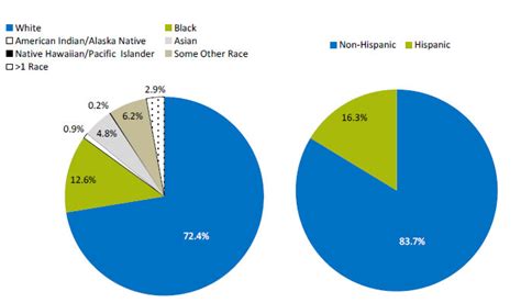 Part 1 Overviews Of The Report And The Black Population Agency For Healthcare Research And