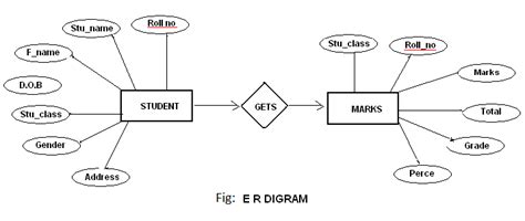 What Is Er Diagram Software Engineering Tutorial