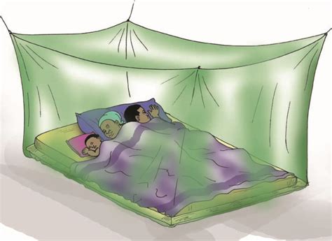 How To Make A Mosquito Net How To