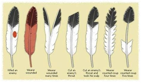 Eagle Feather Symbolism Native American Feathers Native American