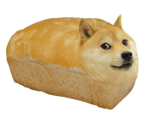 Doge Meme Png Image Transparent Image Download Size 500x410px