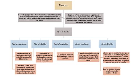 Mapa Conceptual Del Aborto ¡guía Paso A Paso