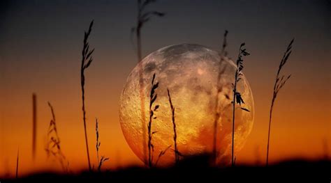 Download and use 10,000+ full moon stock photos for free. 11 Facts You Should Know About This Month's Harvest Full ...