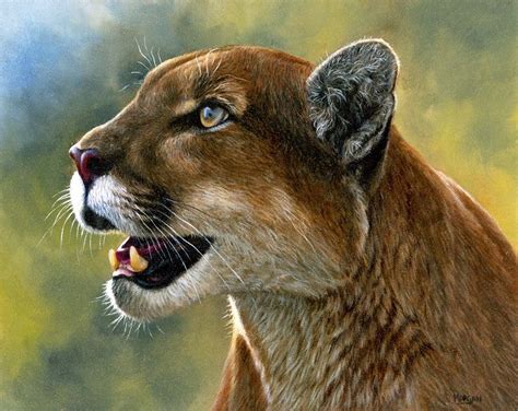 Jason Morgan Cat Art Painting Painting Style Wildlife Paintings