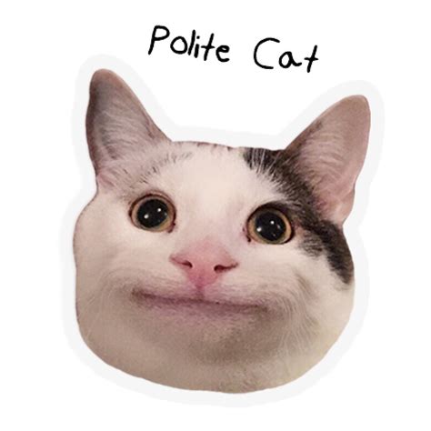 Polite Cat Meme Face