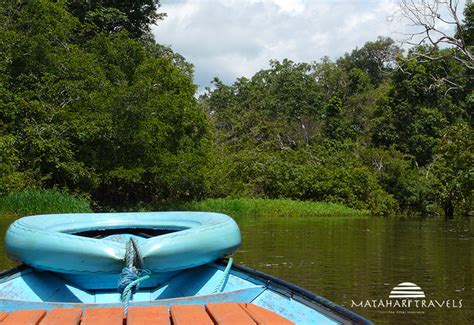 Mahakam River Cruise Adventure Matahari Travels
