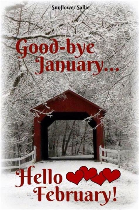 Pin By Marsha Hattenstein On February Hello February Quotes New