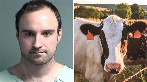 Man Asked To Have Sex With Farm Animals