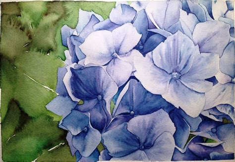 How To Paint Blue Hydrangea Aquamarkers Watercolour Tutorial