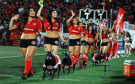 The match will start in 00:00:00 s. Toluca vs Club Tijuana - Liga MX Preview: Visitors aim to ...