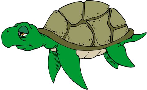 Sea Turtles Clip Art Clipart Best