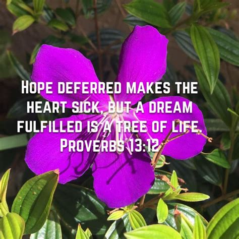 Proverbs 1312 Hope Deferred Makes The Heart Sick But A Dream